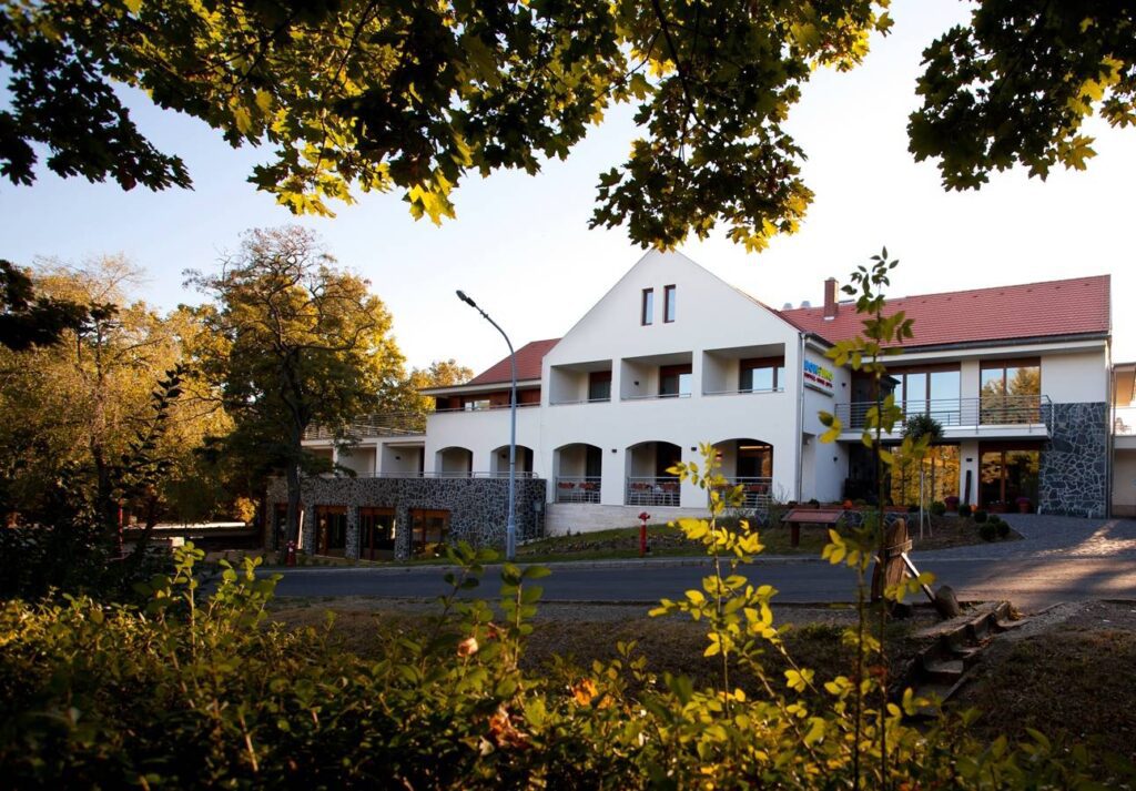 Világsiker: A legjobbak között ez a magyar borászat étterem