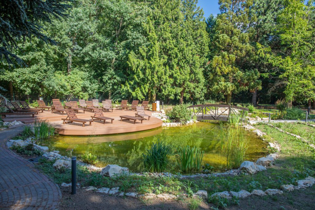 Erdei levegő, wellness és családi kalandok a soproni Lővérek szívében - Fagus Hotel Conference & Spa