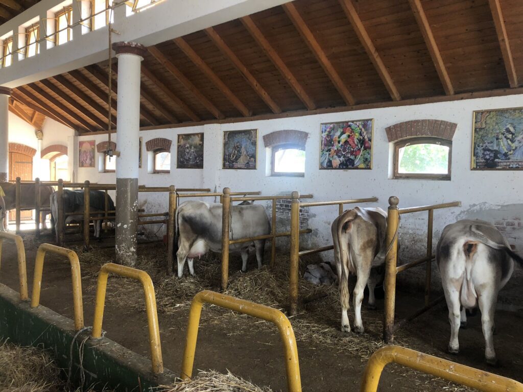 India varázsa Somogyban - Less be a Krisna-völgy különleges világába!