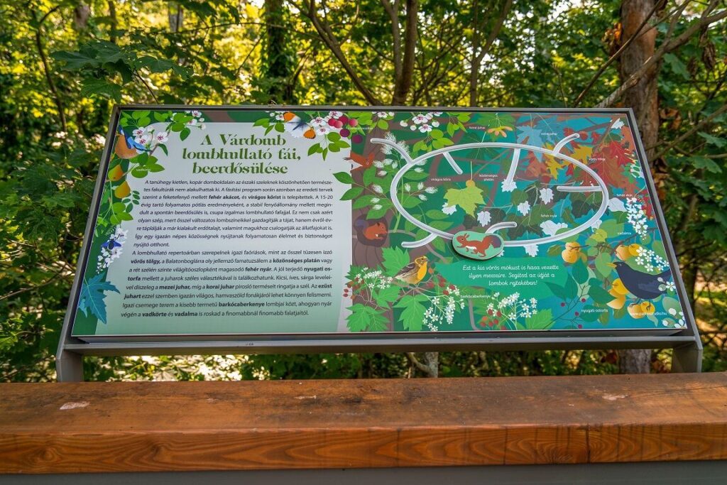 Kilátás, kaland, Balaton - Elvarázsol a balatonboglári lombkoronasétány!