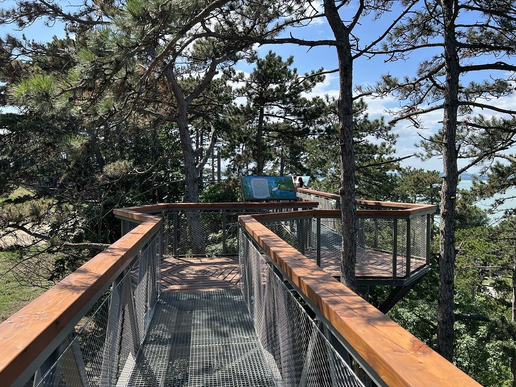 Kilátás, kaland, Balaton - Elvarázsol a balatonboglári lombkoronasétány!