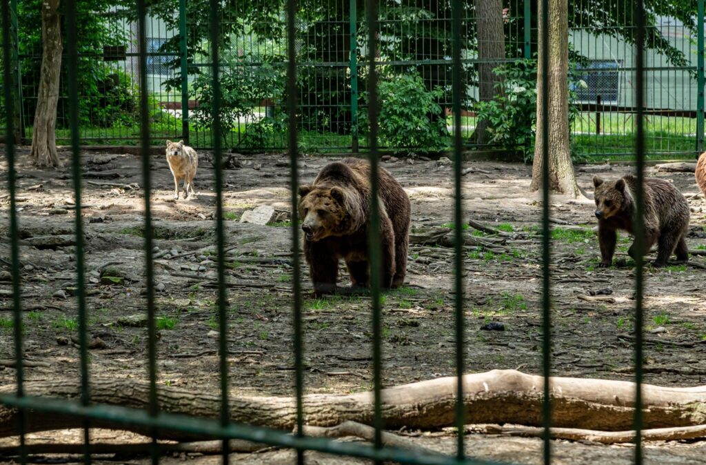 Repülj 1 órát a hegyek ölelésébe! Top 10 erdélyi wellness szállás kirándulástippekkel