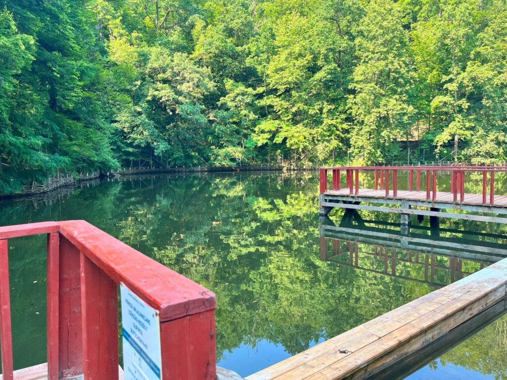 Termál és gyógyfürdők kisokos - Melyik magyarországi gyógyvíz mire jó?