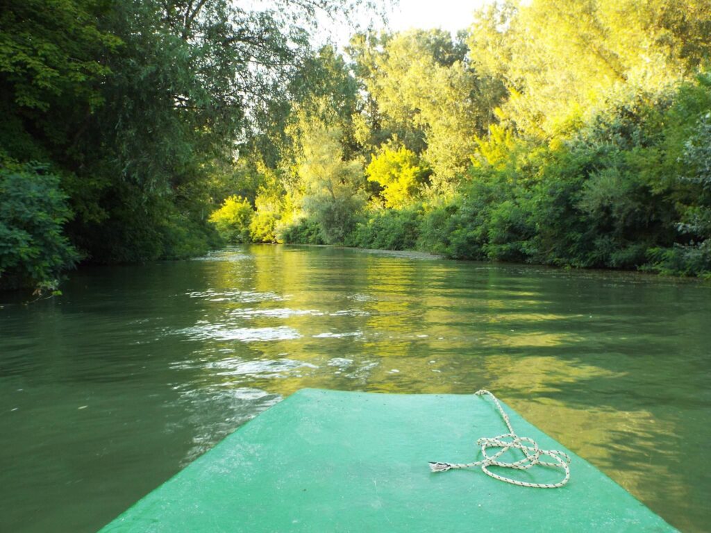 Ragadd meg a pillanatot! - Látványos őszi madárvonulások és madárlesek 