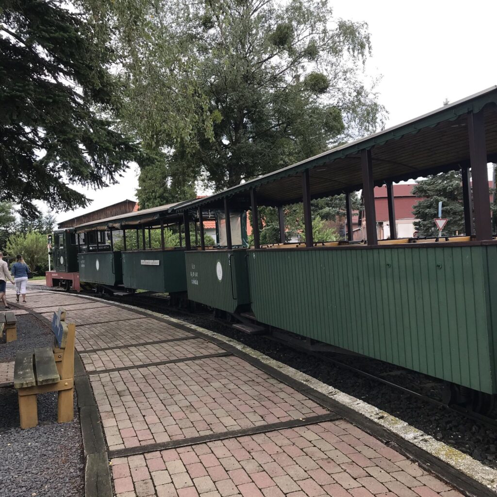 Szarvasbőgés túrák 2025. – Kisvasutas, traktoros és kajakos szarvasbőgésen is részt vehetsz