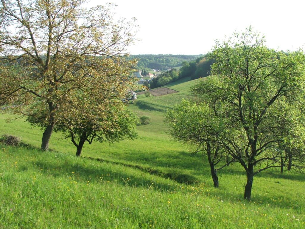 A hosszú élet titka: 10 hazai úti cél, ahol tehetsz a longevity-ért