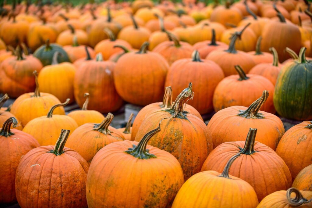 Őrségi Tökfesztivál 2025 – ahol az őszi zsongás és a hagyományok találkoznak