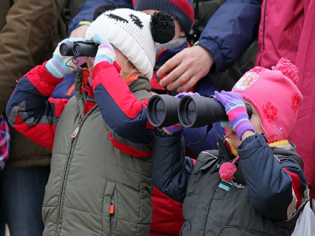 Ragadd meg a pillanatot! - Látványos őszi madárvonulások és madárlesek 