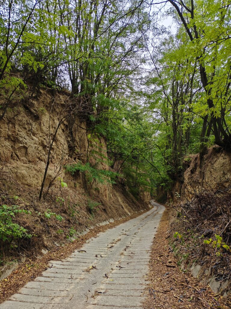Ízek, szállások, kalandok – Fedezd fel a szekszárdi borvidék rejtett kincseit!