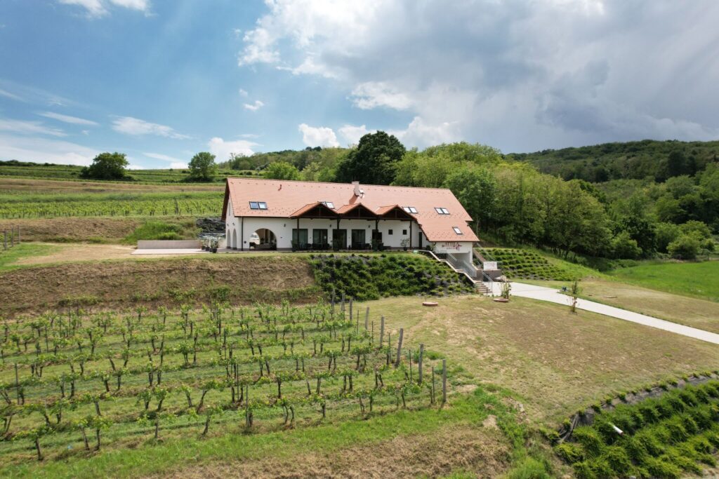 Lösz-szurdik tanösvények – Csontok, barlanglakások, bor és panoráma Szekszárdon  