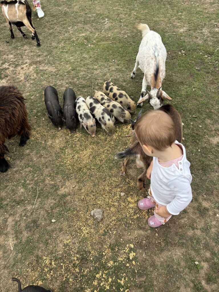 Halloweeni Éjszakák a Kastélyban - Irány Keszthely és a Balaton-part ősszel is!