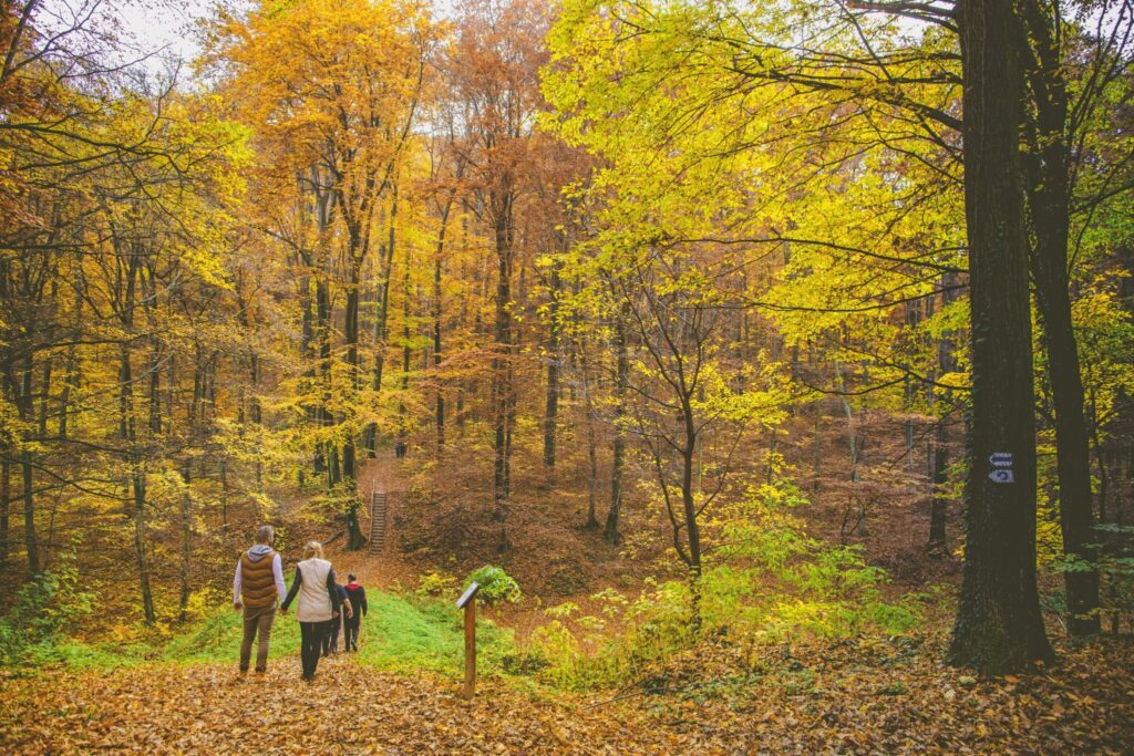 Kapd fel a hátizsákod! - Íme az őszi lombhullás legszínesebb kirándulóhelyei (+térkép)