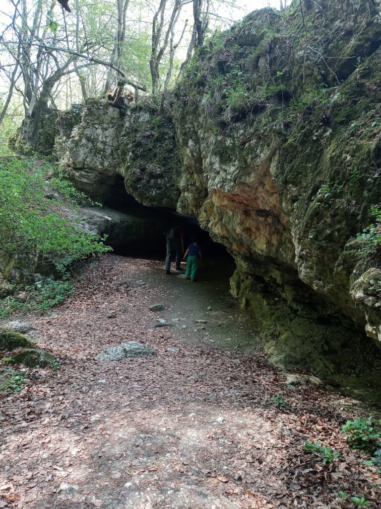Magyarországi nemzeti parkok és TOP látnivalóik, amikről tudni kell
