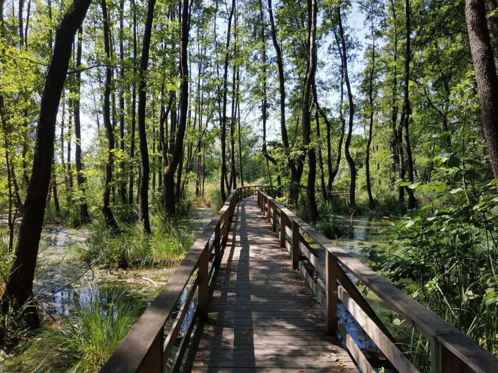 Magyarországi nemzeti parkok és TOP látnivalóik, amikről tudni kell