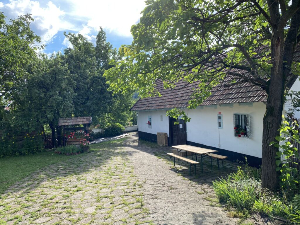 Libator, lámpás felvonulás, pincetúrák - Ezek a legizgalmasabb Márton-napi úti célok