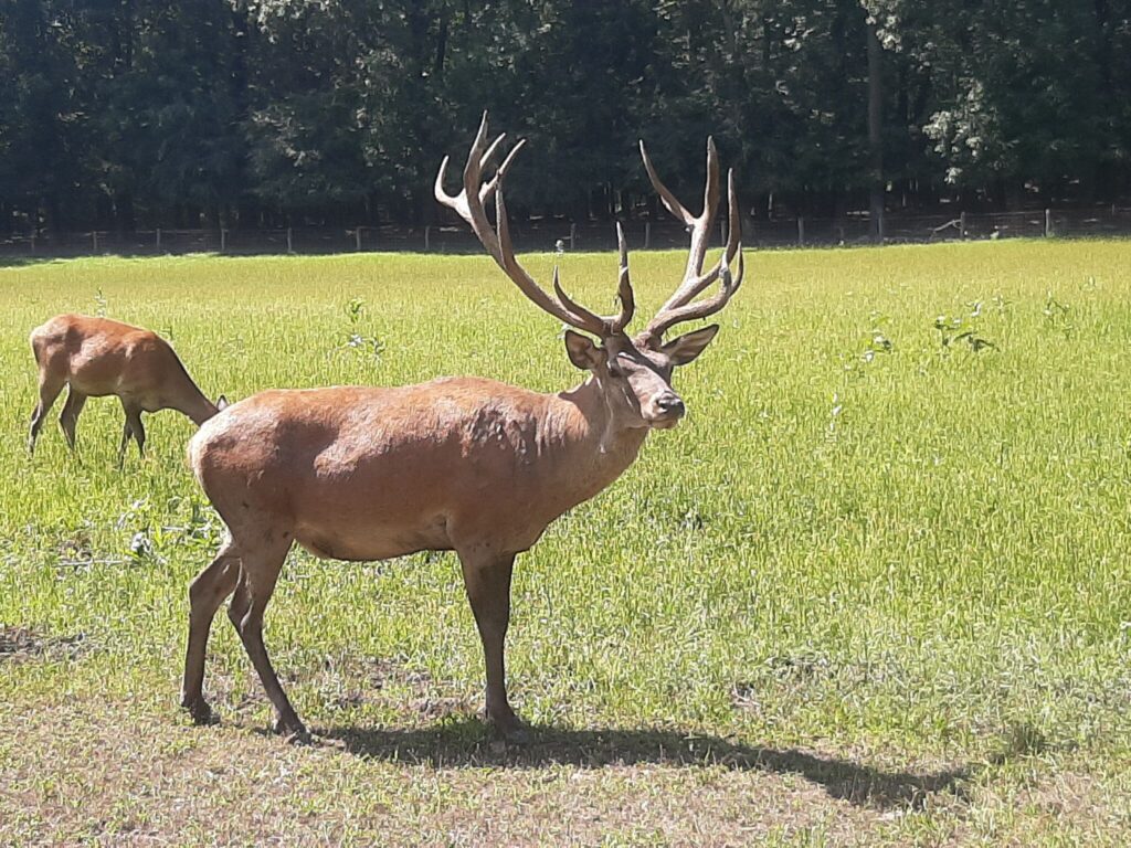 Magyarországi nemzeti parkok és TOP látnivalóik, amikről tudni kell
