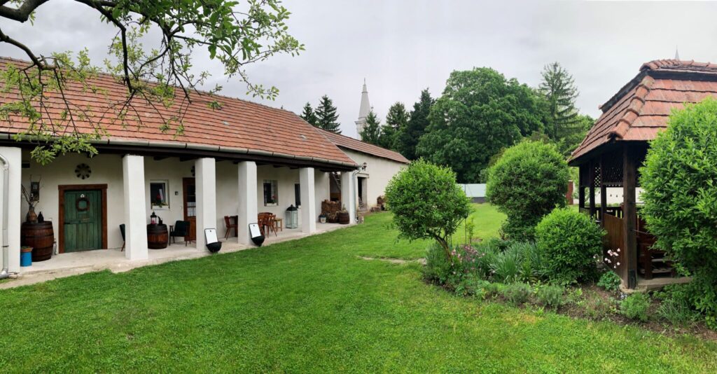 Top 15 kutyás kirándulás, ahol mindenki nyugodtan kalandozhat – Nekünk a 7. a kedvencünk!