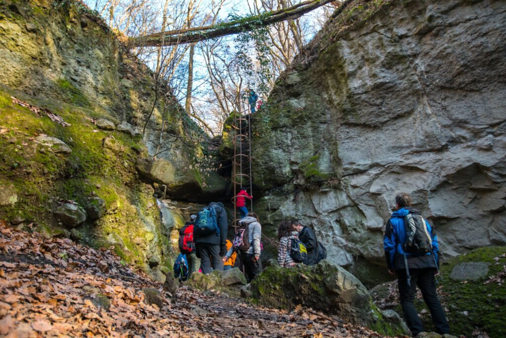 Misztikus szurdok új köntösben: megújult a Pilis egyik legkülönlegesebb célpontja, a Holdvilág-árok