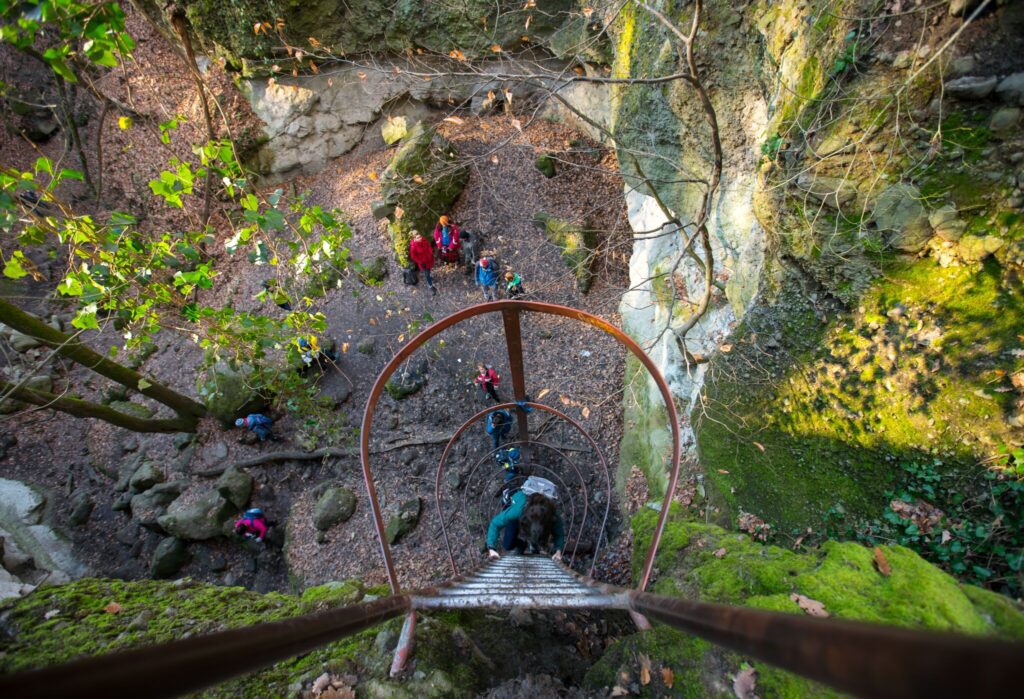 Misztikus szurdok új köntösben: megújult a Pilis egyik legkülönlegesebb célpontja, a Holdvilág-árok