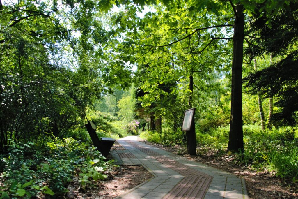 Magyarország egyik legszínesebb varázskertje, amit mindenkinek látnia kell – a Jeli Arborétum