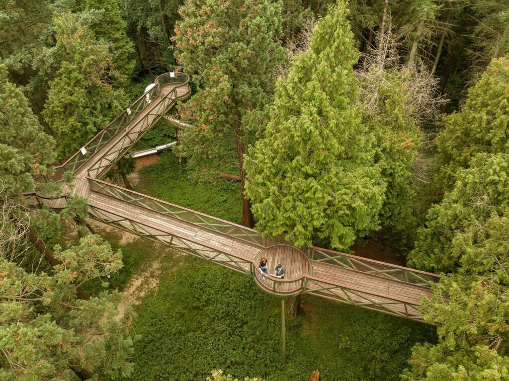 Magyarország egyik legszínesebb varázskertje, amit mindenkinek látnia kell – a Jeli Arborétum