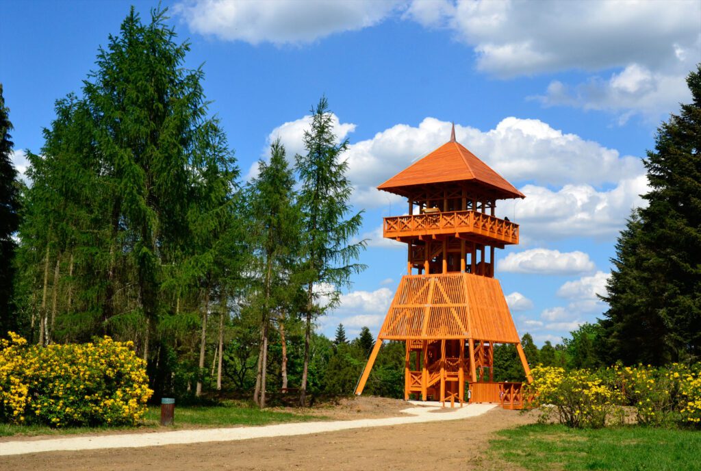 Magyarország egyik legszínesebb varázskertje, amit mindenkinek látnia kell – a Jeli Arborétum