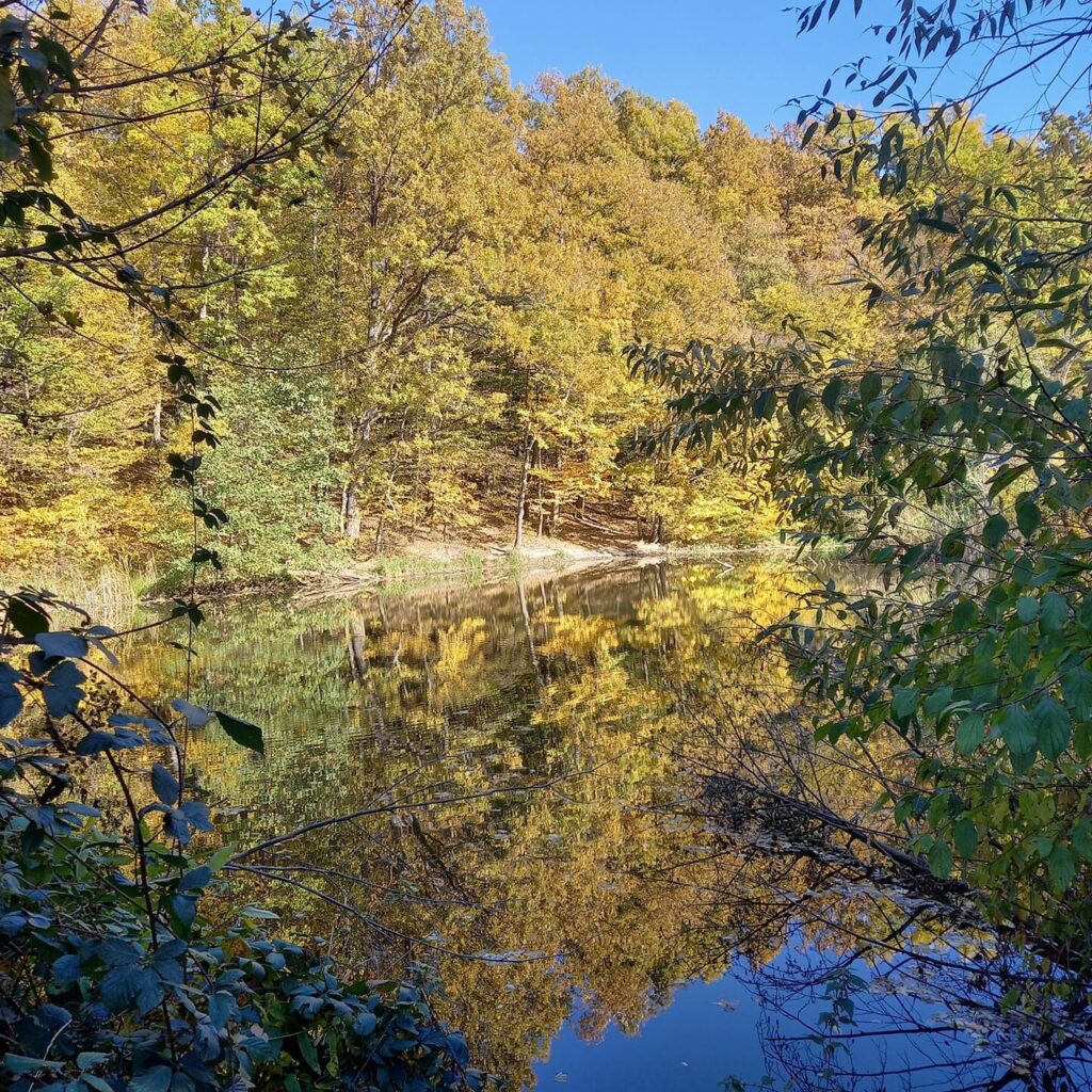 Magyarországi nemzeti parkok és TOP látnivalóik, amikről tudni kell