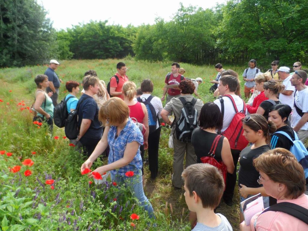 Magyarországi nemzeti parkok és TOP látnivalóik, amikről tudni kell