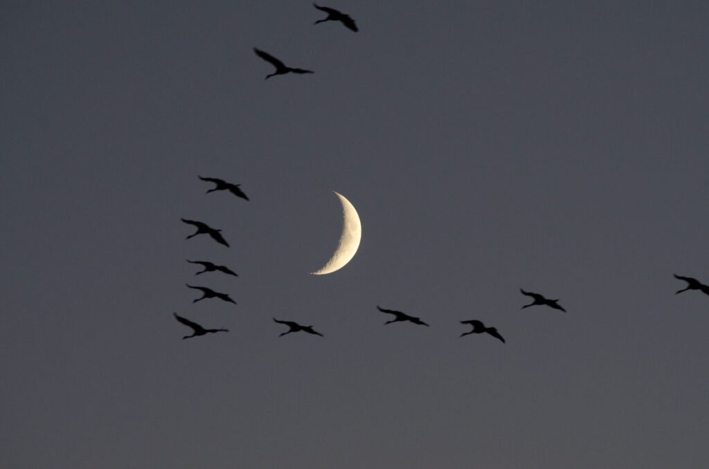 Magyarországi nemzeti parkok és TOP látnivalóik, amikről tudni kell