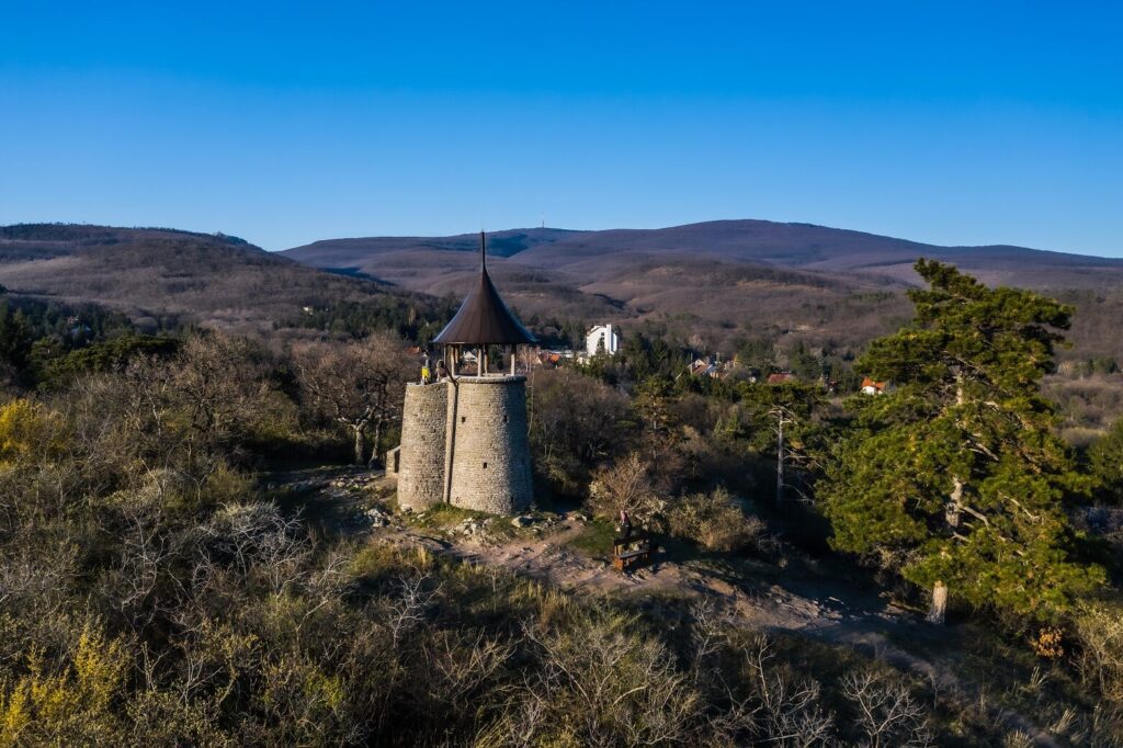 Top 15 kutyás kirándulás, ahol mindenki nyugodtan kalandozhat – Nekünk a 7. a kedvencünk!