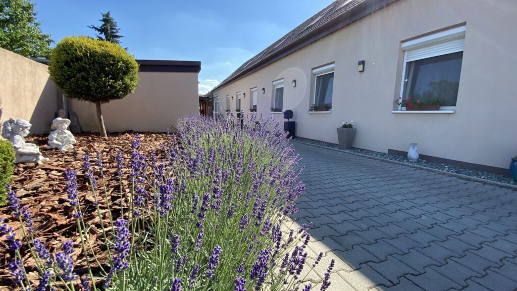 Ezek Magyarország legizgalmasabb halloweeni úti céljai