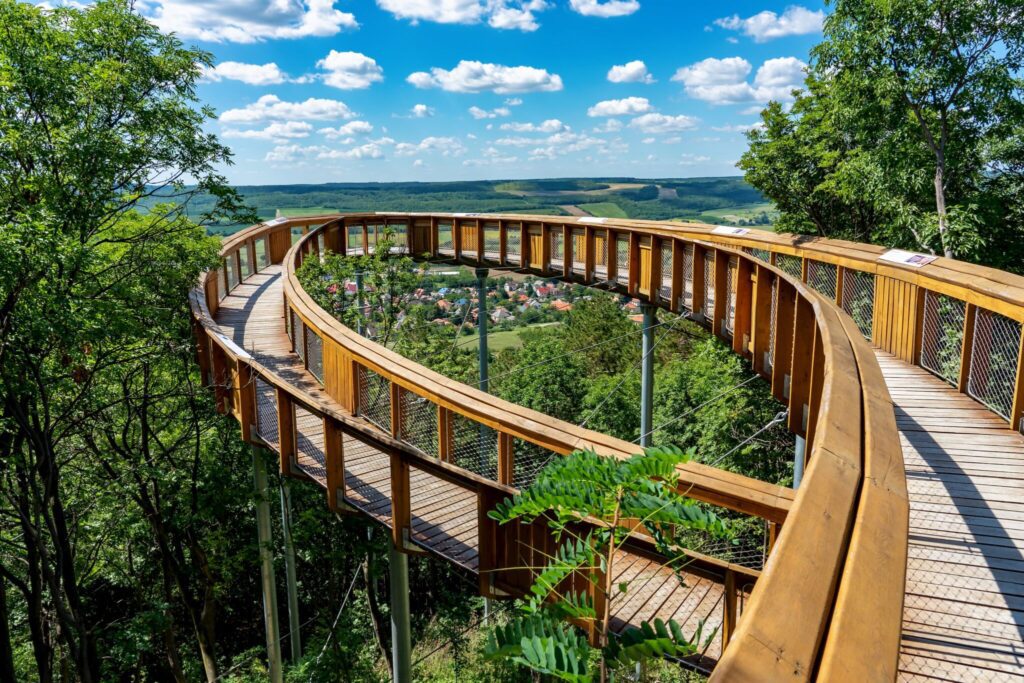 Libator, lámpás felvonulás, pincetúrák - Ezek a legizgalmasabb Márton-napi úti célok