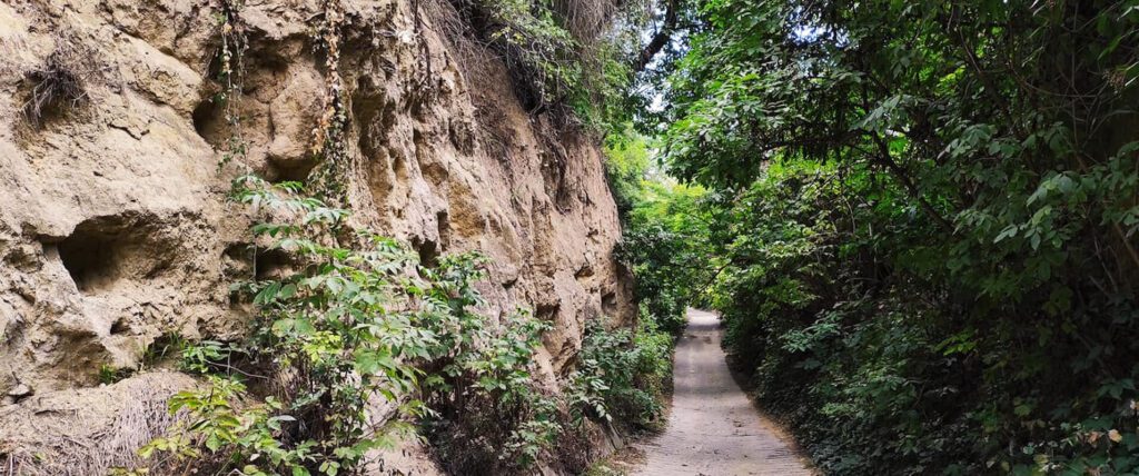 Lösz-szurdik tanösvények – Csontok, barlanglakások, bor és panoráma Szekszárdon  