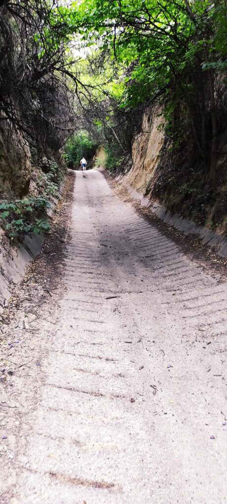 Lösz-szurdik tanösvények – Csontok, barlanglakások, bor és panoráma Szekszárdon  
