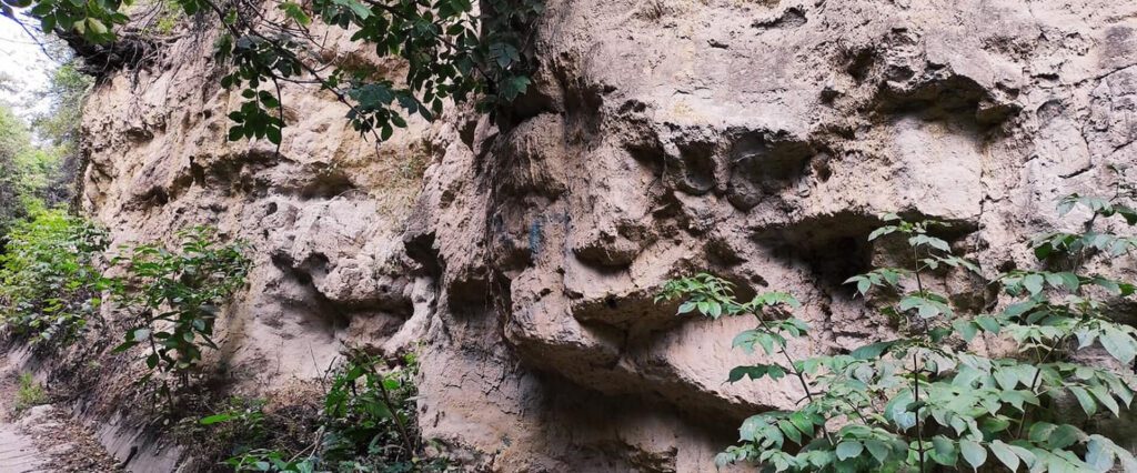 Lösz-szurdik tanösvények – Csontok, barlanglakások, bor és panoráma Szekszárdon  