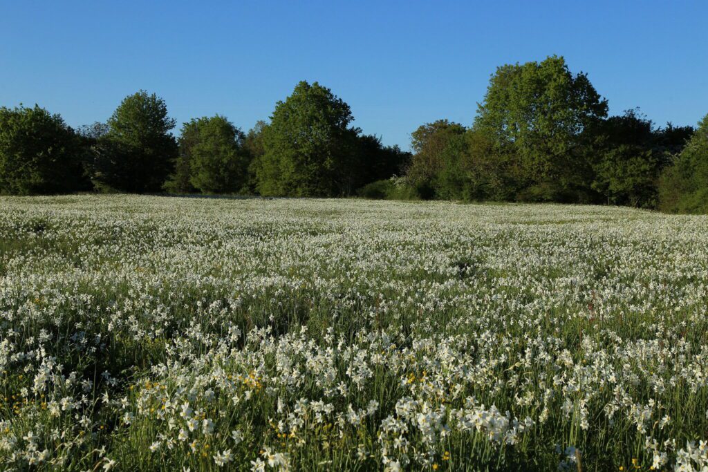Magyarországi nemzeti parkok és TOP látnivalóik, amikről tudni kell