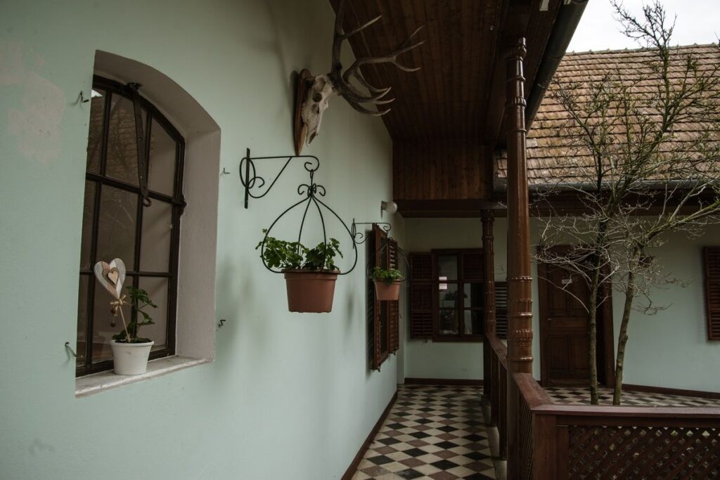 Ízek, szállások, kalandok – Fedezd fel a szekszárdi borvidék rejtett kincseit!