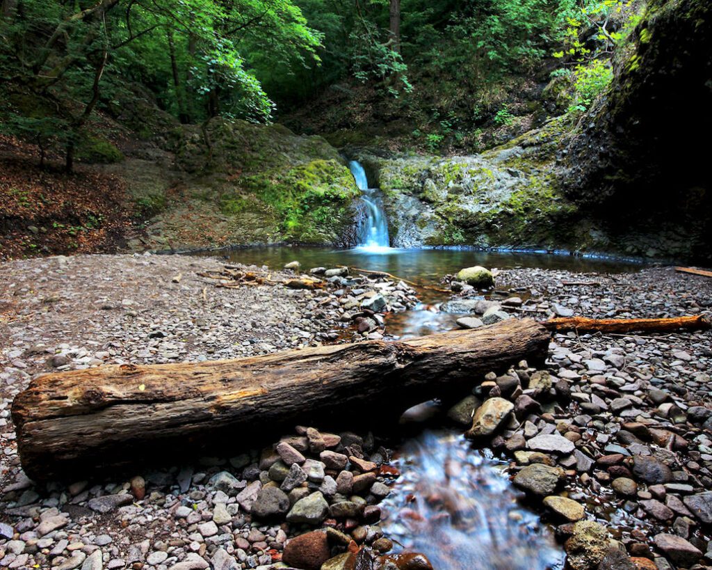 Top 15 kutyás kirándulás, ahol mindenki nyugodtan kalandozhat – Nekünk a 7. a kedvencünk!