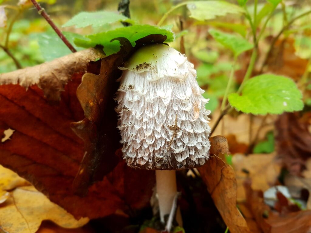 10 mesés hely az Őrségben, amiért érdemes autóba ülni