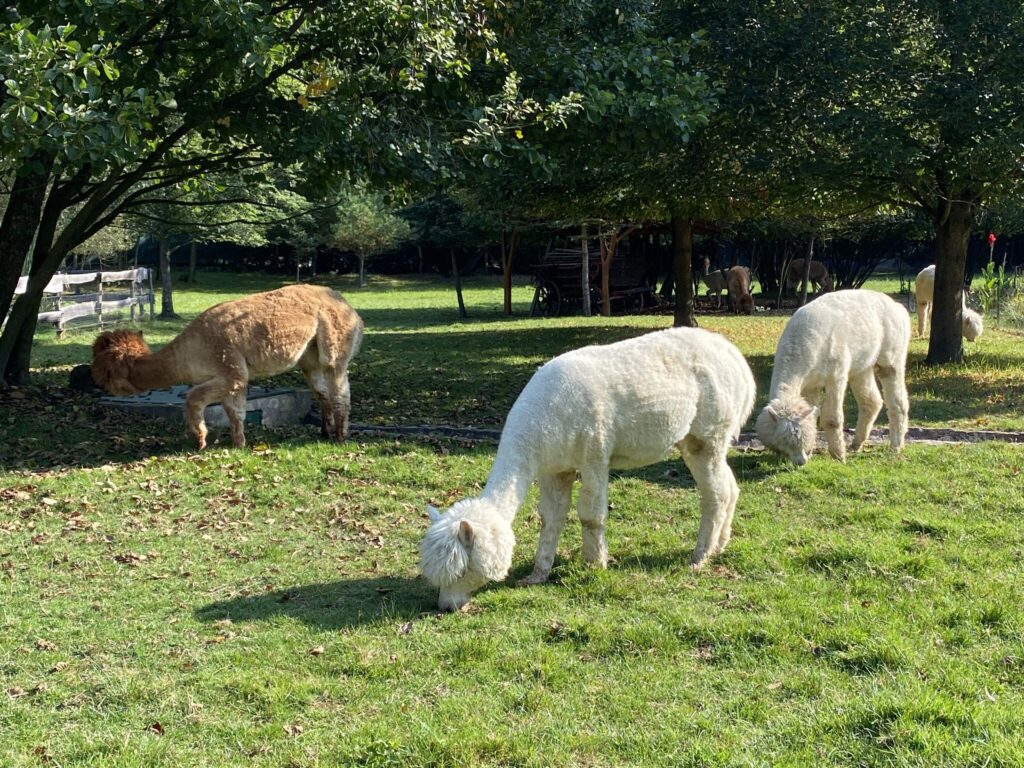 10 mesés hely az Őrségben, amiért érdemes autóba ülni