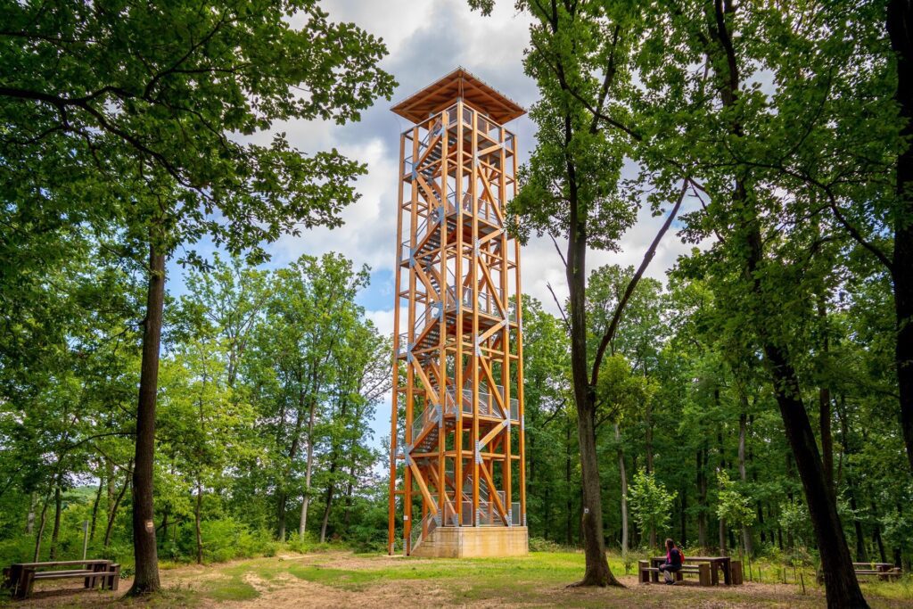 Top 15 kutyás kirándulás, ahol mindenki nyugodtan kalandozhat – Nekünk a 7. a kedvencünk!