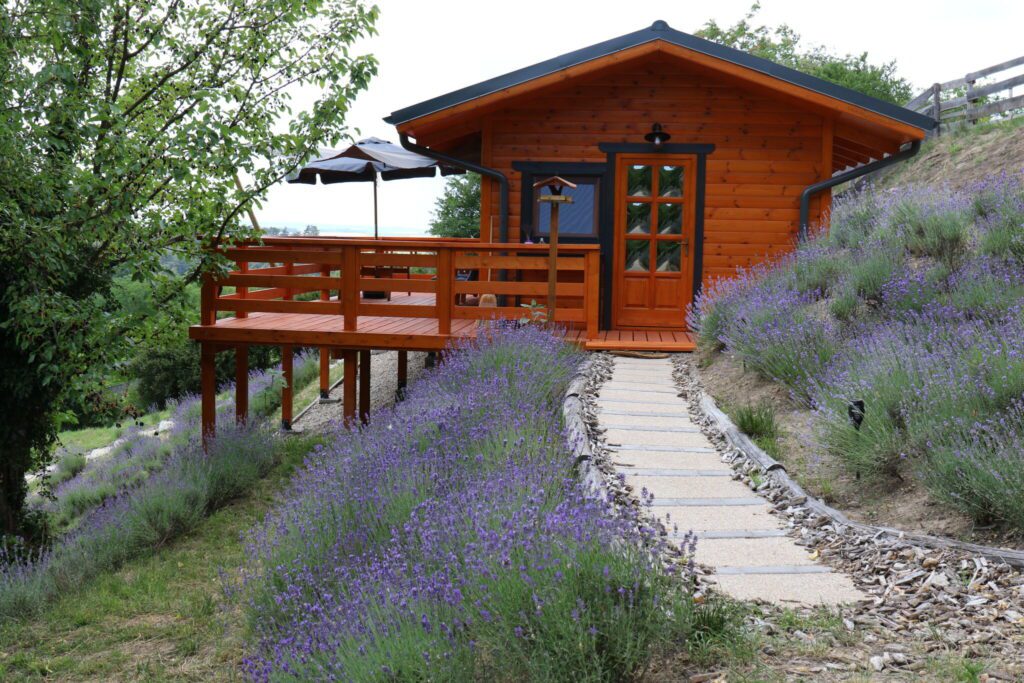 Vissza a természetbe - Mesés erdei faházak az őszre, ráadásul extrákkal!