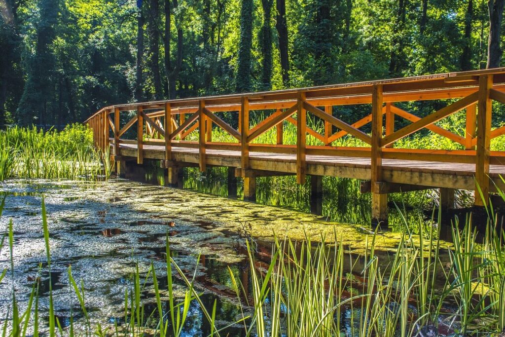 Halloweeni Éjszakák a Kastélyban - Irány Keszthely és a Balaton-part ősszel is!