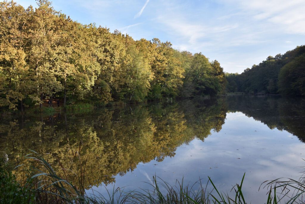 Magyarországi nemzeti parkok és TOP látnivalóik, amikről tudni kell