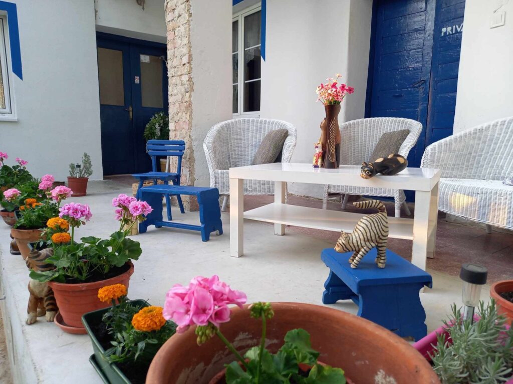 Libát minden menübe - A legmenőbb Márton-napi fesztiválok és gasztroprogramok, amiket kár lenne kihagyni