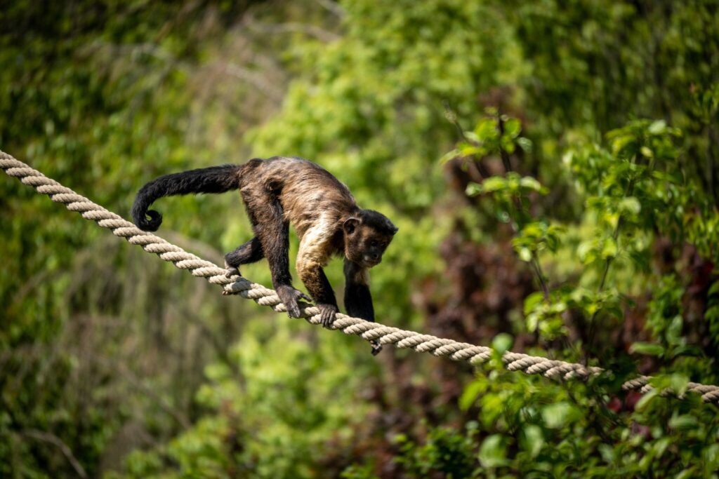 Vízesések, 500 lépcsős kihívás és középkori Medvevár Zágráb kapujában