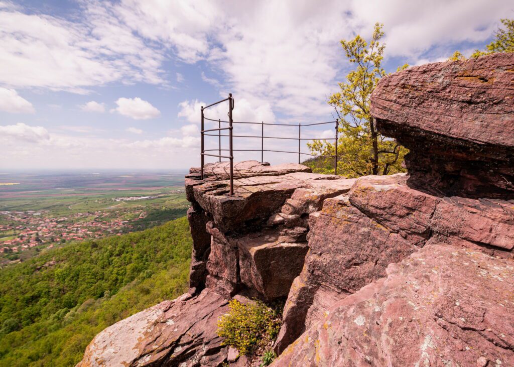Top 15 kutyás kirándulás, ahol mindenki nyugodtan kalandozhat – Nekünk a 7. a kedvencünk!