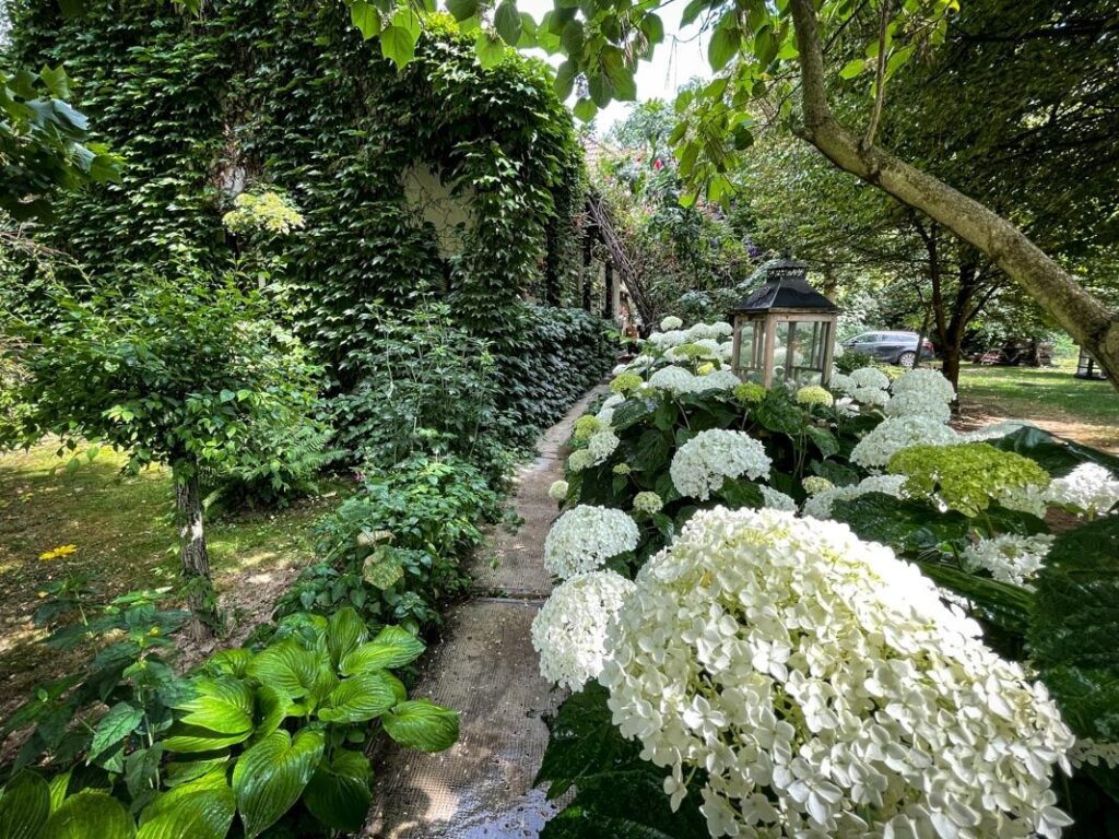 10 különleges látnivaló a Felső-Tisza vidékén, amit még nem ismersz