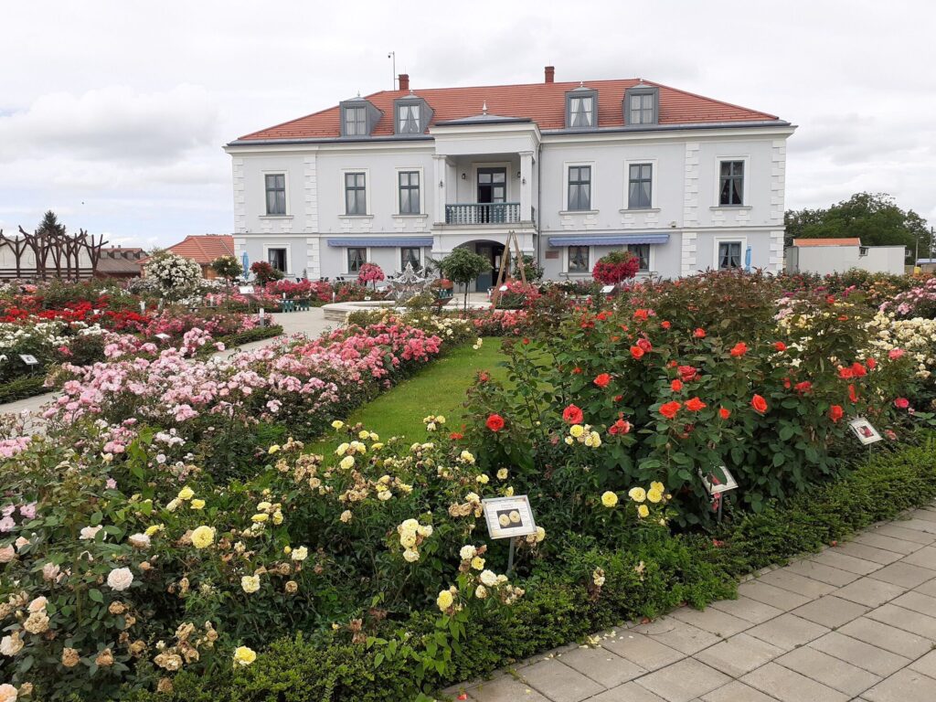 10 különleges látnivaló a Felső-Tisza vidékén, amit még nem ismersz