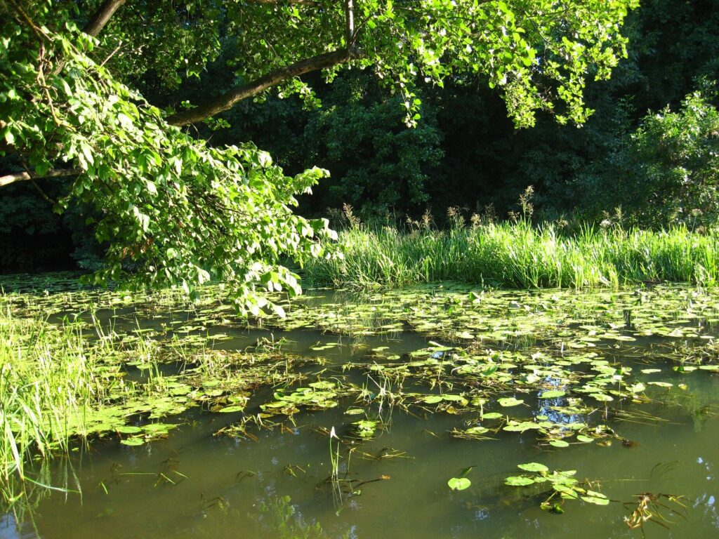 10 különleges látnivaló a Felső-Tisza vidékén, amit még nem ismersz